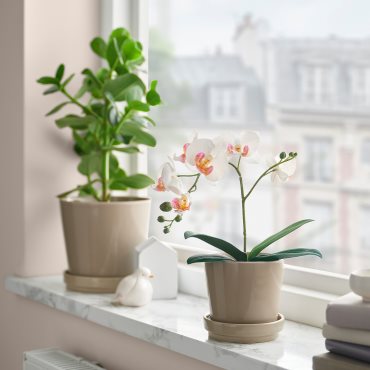 FEJKA, artificial potted plant/Orchid, 9 cm, 706.153.35