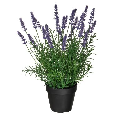 FEJKA, artificial potted plant in/outdoor/Lavender, 12 cm, 706.176.93