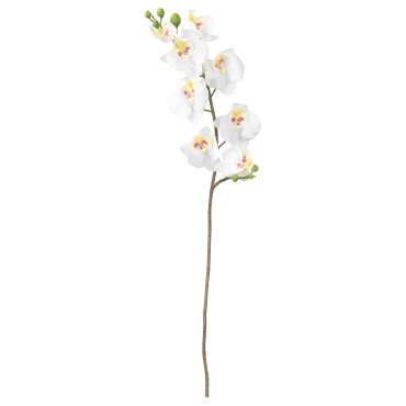 SMYCKA, τεχνητό λουλούδι, Ορχιδέα, 803.335.85