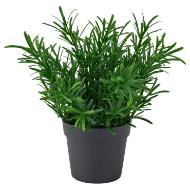 FEJKA, artificial potted plant in/outdoor/Rosemary, 9 cm, 806.107.47