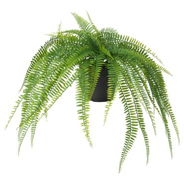 FEJKA, artificial potted plant in/outdoor hanging/fern, 12 cm, 806.152.31