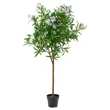 FEJKA, artificial potted plant in/outdoor/Nerium, 19 cm, 806.177.01