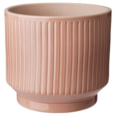HONUNGSPALM, plant pot in/outdoor, 15 cm, 905.957.94