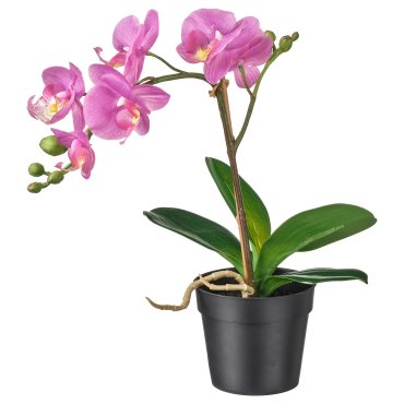 FEJKA, artificial potted plant, 102.923.00
