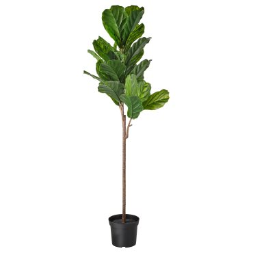 FEJKA, artificial potted plant in/outdoor/fiddle-leaf fig, 19 cm, 203.594.27