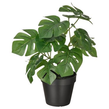 FEJKA, τεχνητό φυτό σε γλάστρα εσωτερικού/εξωτερικού χώρου μονστέρα,, 304.933.50