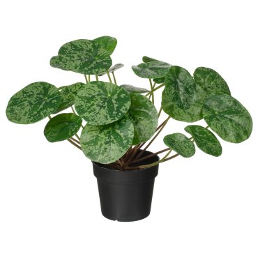 FEJKA, artificial potted plant in/outdoor Pilea, 9 cm, 306.008.59