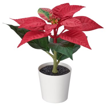 VINTERFINT, artificial potted plant in/outdoor Poinsettia, 6 cm, 406.065.87