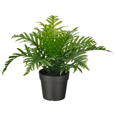 FEJKA, τεχνητό φυτό σε γλάστρα εσωτερικού/εξωτερικού χώρου πολυπόδιο, 9 cm, 504.933.49