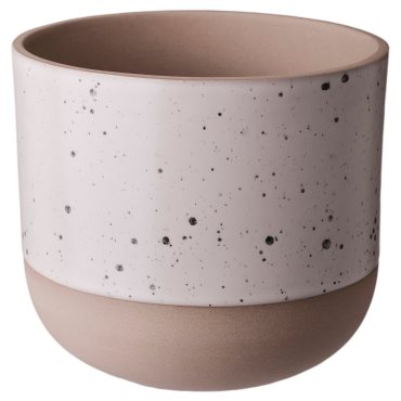 BUSKKAPRIFOL, plant pot in/outdoor/, 12 cm, 605.958.99