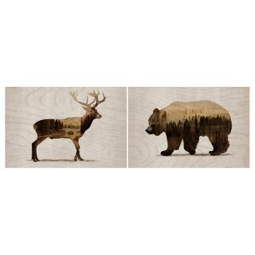 BJÖRNAMO, πίνακας/ Άγρια ζώα ΙΙ 30x20 cm, σετ 2 τεμ., 704.861.02