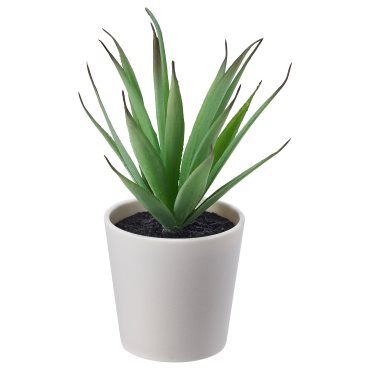 FEJKA, artificial potted plant with pot in/outdoor  Succulent, 6 cm, 805.197.67