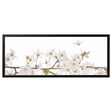 BJÖRKSTA, picture with frame/white flowers, 140x56 cm, 095.089.33