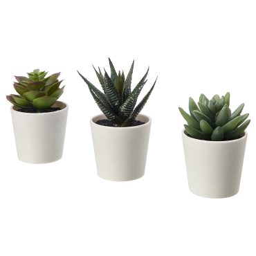 FEJKA, artificial potted plant with pot/in/outdoor Succulent/3 pack, 6 cm, 505.197.64