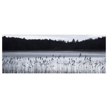 BJÖRKSTA, picture Woodland lake, 140x56 cm, 104.798.64