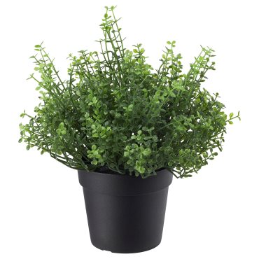 FEJKA, artificial potted plant/in/outdoor/Baby’s tears, 9 cm, 005.327.77
