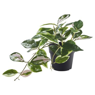 FEJKA, artificial potted plant in/outdoor/Wax plant hanging, 9 cm, 005.932.14