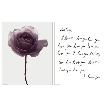 BILD, poster/romantic rose/set of 2, 40x50 cm, 105.705.42