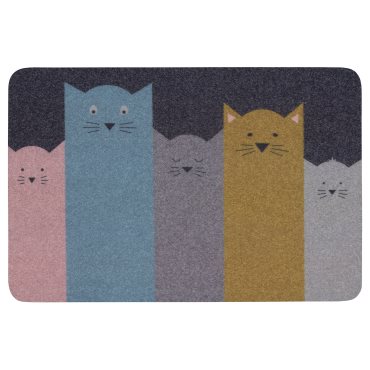 TURISTVÄG, door mat indoor, 40x60 cm, 306.050.84