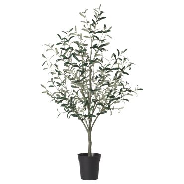 FEJKA, artificial potted plant in/outdoor/Olive tree, 19 cm, 405.968.85