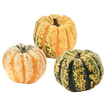 CUCURBITA, decoration pumpkin, 406.041.35