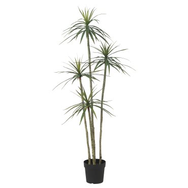 FEJKA, τεχνητό φυτό σε γλάστρα/εσωτερικού/εξωτερικού χώρου/Δράκαινα, 23 cm, 505.486.34