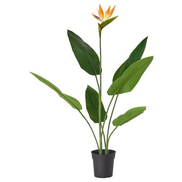 FEJKA, artificial potted plant in/outdoor/Bird of paradise, 19 cm, 505.932.35