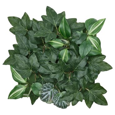 FEJKA, artificial plant wall mounted in/outdoor, 25x25 cm, 506.107.58