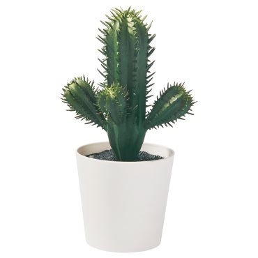 FEJKA, artificial potted plant/in/outdoor Cactus, 6 cm, 605.871.54