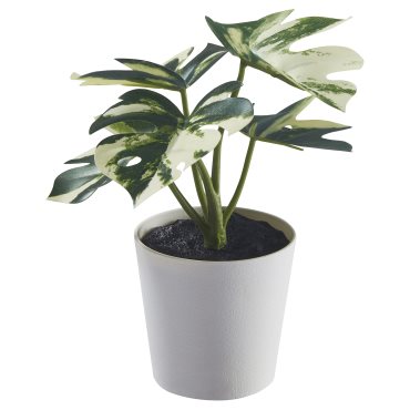 FEJKA, artificial potted plant with pot in/outdoor Monstera, 6 cm, 805.932.05