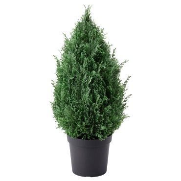 FEJKA, artificial potted plant/cypress/In/outdoor, 15 cm, 905.228.54
