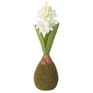 VINTERFINT, artificial flower/Hyacinth, 22 cm, 905.637.07