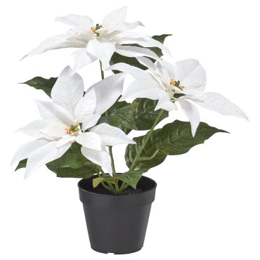 VINTERFINT, artificial potted plant in/outdoor Poinsettia, 12 cm, 906.066.36