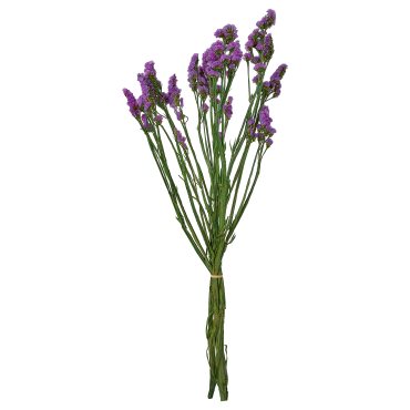 TORKA, dried parts of flowers/plants/bunch, 70 cm, 906.381.28