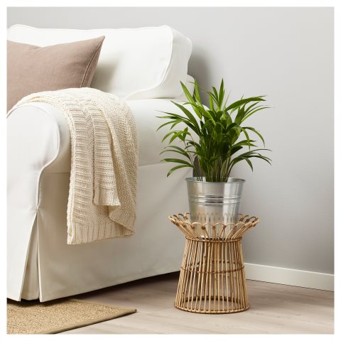 KANELSTANG, ανθοστήλη, 503.873.82 - IKEA Ελλάδα KANELSTANG, ανθοστήλη, 503.873.82