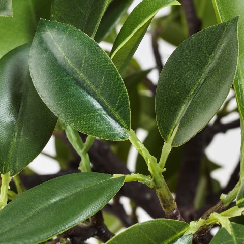 FEJKA, τεχνητό φυτό σε γλάστρα εσ/εξ χώρου Benjamina, 003.953.08 - IKEA Ελλάδα FEJKA, τεχνητό φυτό σε γλάστρα εσ/εξ χώρου Benjamina, 003.953.08