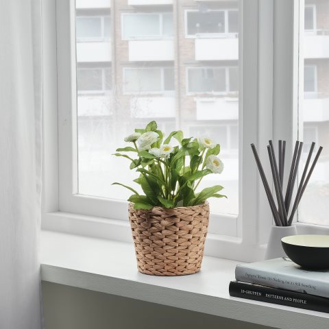 FRIDFULL, κασπό, 901.558.70 - IKEA Ελλάδα FRIDFULL, κασπό, 901.558.70