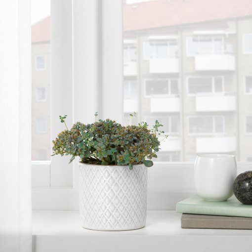 CHIAFRÖN, κασπό, 004.419.04