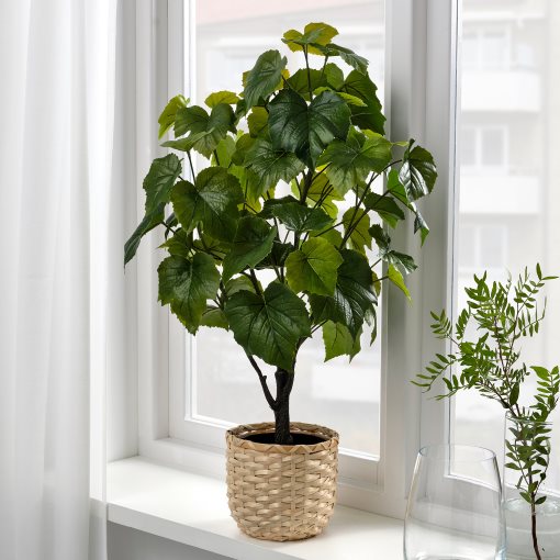 FEJKA, τεχνητό φυτό σε γλάστρα εσωτερικού/εξωτερικού χώρου Αμπέλοψη, 15 cm, 004.933.42