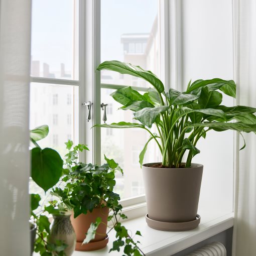 KLARBÄR, plant pot with saucer/in/outdoor, 19 cm, 005.108.22