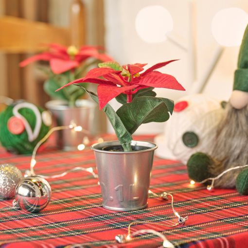 VINTERFINT, artificial potted plant with pot/in/outdoor Poinsettia, 6 cm, 005.621.37