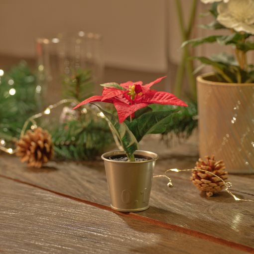 VINTERFINT, artificial potted plant with pot/in/outdoor Poinsettia, 6 cm, 005.621.37