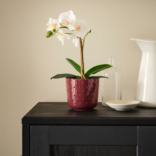 SESAMFRÖN, plant pot in/outdoor, 9 cm, 005.693.46