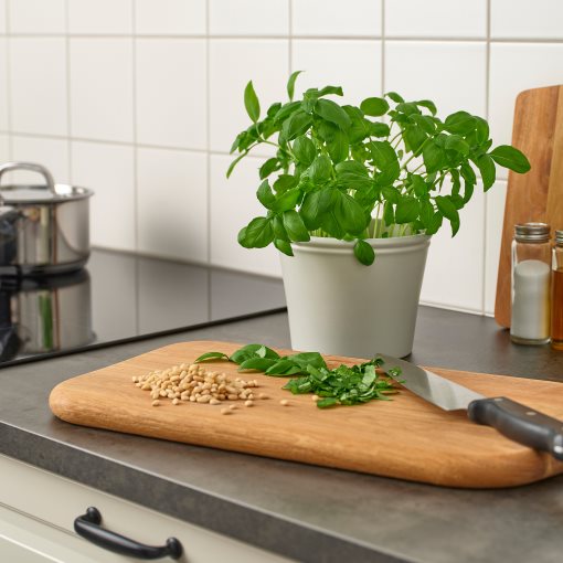 KÖRSBÄRSBJÖRK, κασπό, 12 cm, 005.917.19