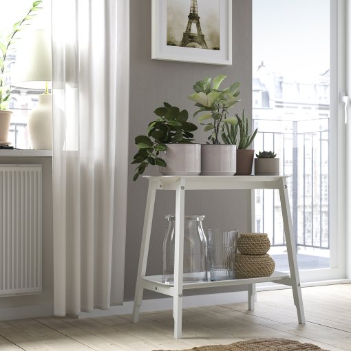 HONUNGSPALM, κασπό εσωτερικού/εξωτερικού χώρου/, 15 cm, 005.957.98