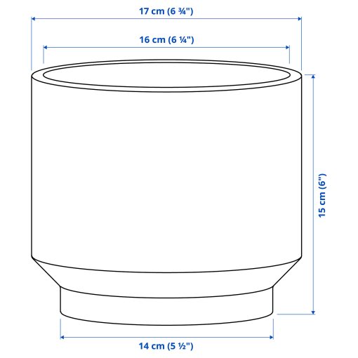 HONUNGSPALM, κασπό εσωτερικού/εξωτερικού χώρου/, 15 cm, 005.957.98