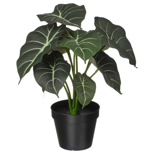 FEJKA, artificial potted plant in/outdoor Alocasia, 12 cm, 006.008.70