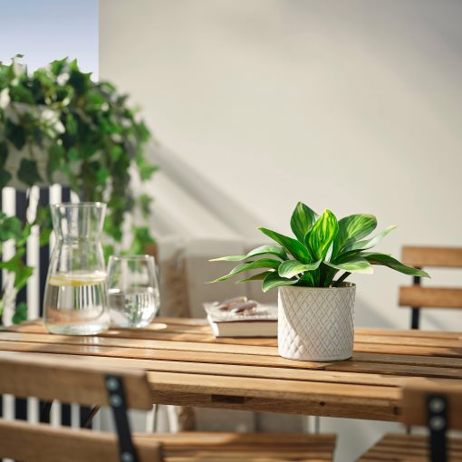 FEJKA, artificial potted plant in/outdoor/plantain lily, 9 cm, 006.107.51