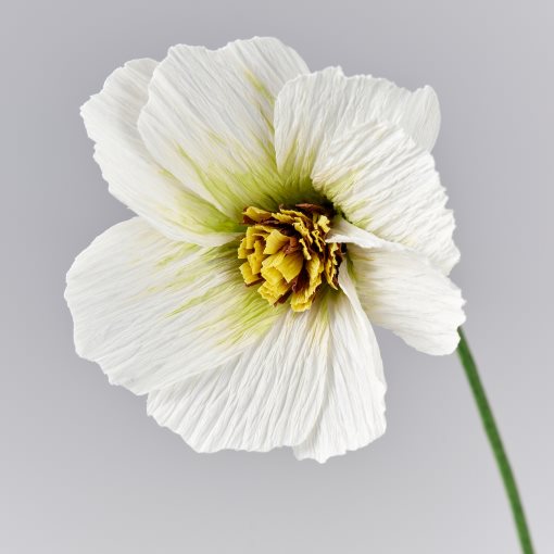 GULDSPETT, artificial flower/cosmos, 35 cm, 006.149.47