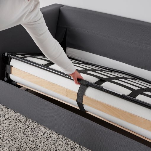 VIMLE, 2-seat sofa-bed, 095.370.30